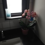 そば処 さいとう - 