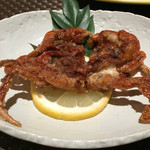 温宿　三河屋 - ソフトクラブ