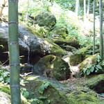 休耕庵 竹の庭の茶席 - 