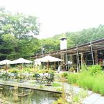 ミオンエシカルキッチン＆カフェ - お庭から見た店舗 2016/04