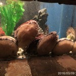 鉄板キュイジーヌ長尾 - 