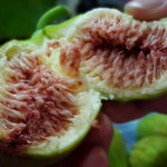 伊勢屋鈴木商店 - いちじくバナーネ