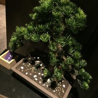 宇田川 紫扇 - 