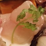 順 - 【H28.8.24】イサキのカルパッチョは昆布締め。