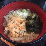 あらた野 - ごぼう天うどん＠650円