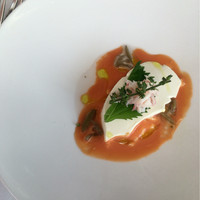 RESTAURANT DAZZLE - 