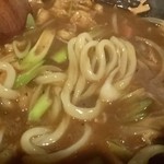 手打かすうどん 香粋一 - かすカレーうどん:アップ