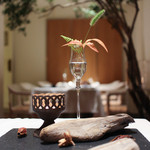 現代ガストロノミー 四匹の猫 - イカした雰囲気です☆