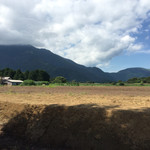 ハートランド朝霧 - 