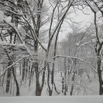 レストラン・マッカリーナ - 冬景色もまた良し。