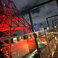 ワカヌイ グリル ダイニング バー 東京 - 