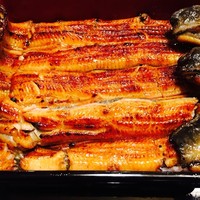 うなぎ割烹 大江戸 - 