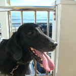 タベルナ ロンディーノ - 2010/10