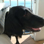 タベルナ ロンディーノ - 2010/10