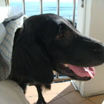 タベルナ ロンディーノ - 2010/10