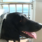 タベルナ ロンディーノ - 2010/10