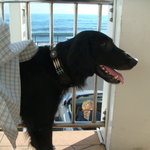 タベルナ ロンディーノ - 2010/10