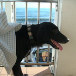 タベルナ ロンディーノ - 2010/10