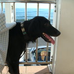 タベルナ ロンディーノ - 2010/10