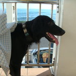 タベルナ ロンディーノ - 2010/10