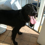 タベルナ ロンディーノ - 2010/10