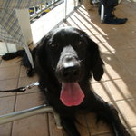 タベルナ ロンディーノ - 2010/10