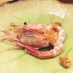 潟潟ヤ - (2016.8) 北海シマ海老 揚げガーリック添え