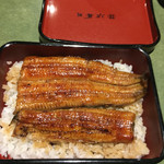 Unagi Fujita - 