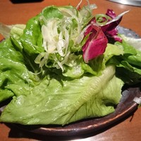 生粋 - サラダ