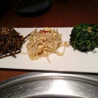 生粋 - ナムル3種