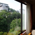 老神温泉 ぎょうざの満洲 - （2016/7月）泊まった部屋からの眺め