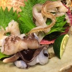 ととすし - ('14.05)