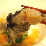 弘屋 - 北海道昆布森の生牡蠣（アップ）