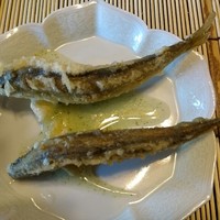 京都祇園 天ぷら八坂圓堂 - 