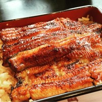 うなぎ藤田 白金台店 - 