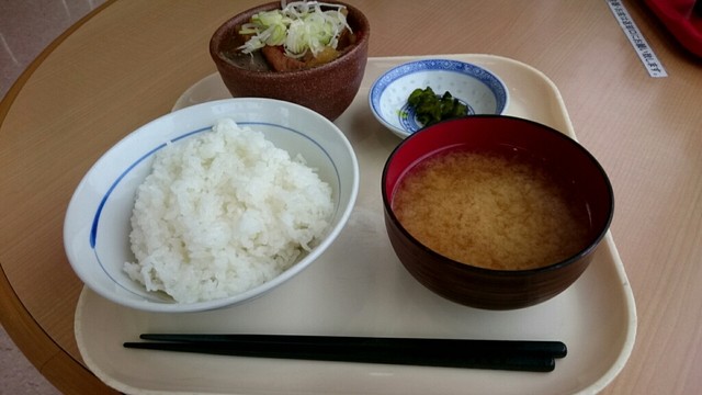 玉ちゃん食堂 - 泉郷（ラーメン）の写真