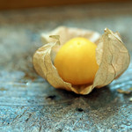 寿司栄 - 酸漿（ほおずき）