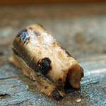 寿司栄 - 羽田の白焼きにした穴子