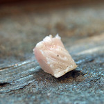 寿司栄 - クエのエンガワ