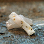 寿司栄 - クエの炙り...わさび醤油か塩で