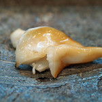 寿司栄 - 陸前高田の石垣貝...なにもつけずに