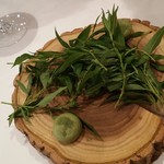 シック プッテートル - 