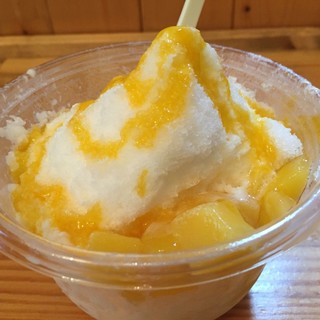 フードキャンプ_1