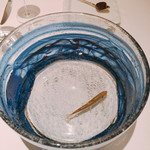 ル・マノアール・ダスティン - 稚鮎