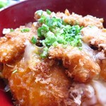 Izakaya Shouki - ヒレカツダブル（アップ）