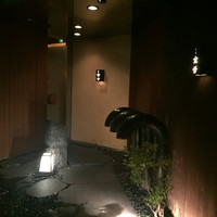 金舌 白金 - 