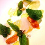 レフェルヴェソンス - 