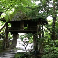 山ばな平八茶屋 - 