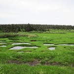 藤七温泉 彩雲荘 - 湿原の池塘(1)