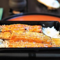 うなぎ秋本 - 共水うなぎ　うな重